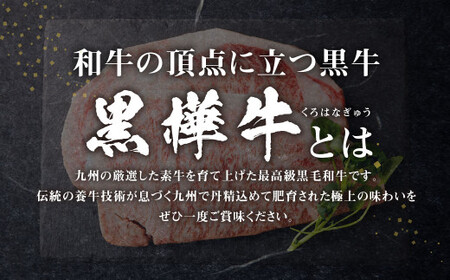 【2回定期便】 黒樺牛 ロースステーキ 400g （200g×2パック） 計800g 黒毛和牛 ステーキ肉 冷凍