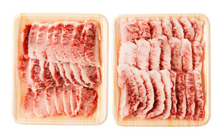 くまもと黒毛和牛プレミアム和王 焼肉用（バラもしくは肩ロース） 約600g（約300g×2パック） 黒毛和牛 和牛 牛肉 肉 国産 熊本県 湯前町