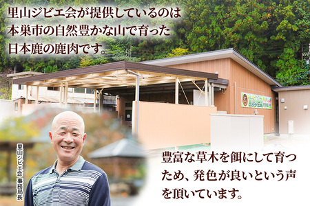 鹿肉ハンバーグ 10個 ジビエ ハンバーグ ジビエハンバーグ (1パック2個入り×5パック) 小分け 冷凍ハンバーグ 赤身 あらびき ぎふジビエ  冷凍 手造り 鹿 肉加工品 [mt1806] 10000円 1万円