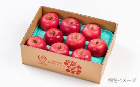 【訳あり】先行受付 サンふじ 約3kg 6～12玉［おぶせファーマーズ］ 不揃い 規格外 家庭用 りんご 林檎 リンゴ 果物 フルーツ ふじ 長野 信州 数量限定  【2026年11月中旬～2027年2月下旬発送】［FH-51］