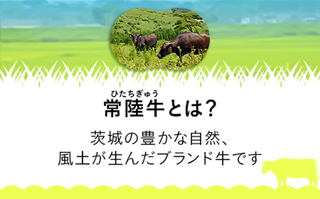 黒毛和牛 切り落とし 600g 橋本さんちの常陸牛【トキワフーズ】653