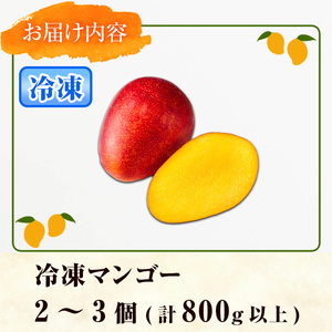 【0105933a】物産館おススメ！東串良町産 丸ごと冷凍マンゴー(計800g・2-3個入り) 果物 フルーツ 果実 デザート 国産 冷凍 ご家庭用 【東串良物産館ルピノンの里】