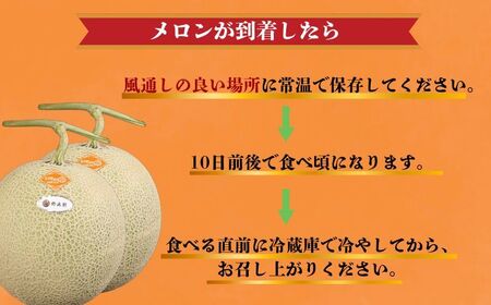 赤肉とろ甘メロン 2玉 メロン