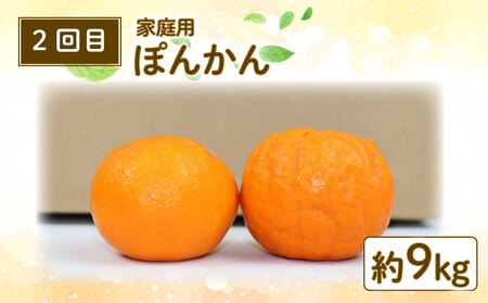 【みかん定期便】みかん定期便3回玉津柑橘倶楽部B030-072048