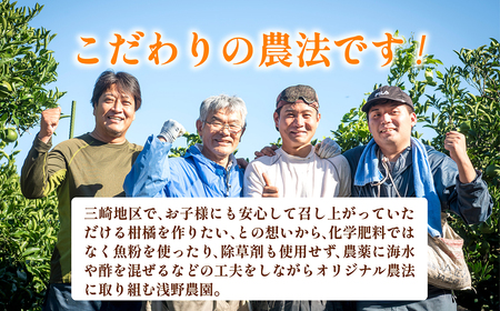 【先行予約】【家庭用】清見オレンジ計5kg ※離島への配送不可（2026年3月上旬頃より順次発送予定） IKTAC007