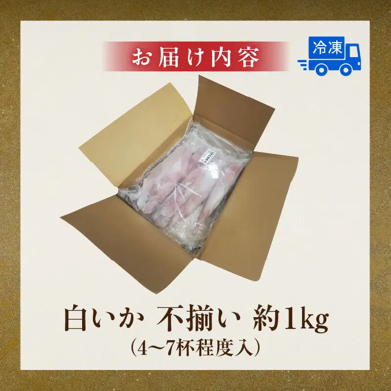白イカ 約1kg 4-7杯程度入 不揃い 冷凍 いか イカ 74-31