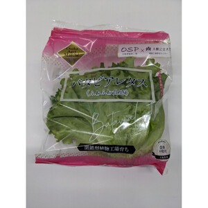 Osaka Agri Marche フリルレタス・バタビアレタス