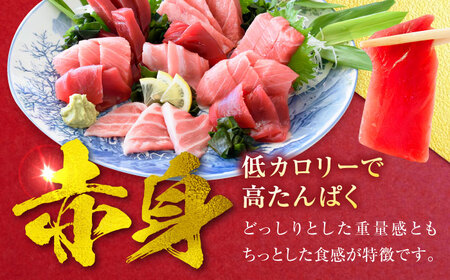 天然 本まぐろ 赤身 計約1.6kg （8柵入り）【横須賀商工会議所 おもてなしギフト事務局（本まぐろ直売所 横須賀本店）】[AKAK099]