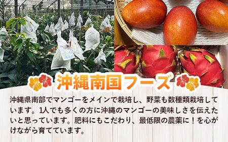 【特別提供中】 国産 希少種！南国フーズのアップルバナナ 約3kg - バナナ ばなな 小ぶり 沖縄県 産地直送 果物 フルーツ 南国 朝食 おすすめ 沖縄県 八重瀬町【価格改定】