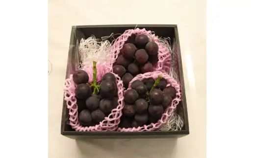 【 訳あり 】 ぶどう 約 1kg 葡萄 種なし 【 ぶどう 】