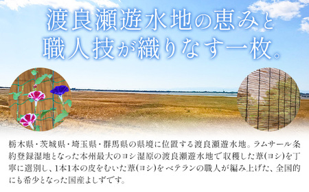 【県指定伝統工芸品】渡良瀬遊水地 よしず 7尺×6尺(約210cmx180cm) 栗田商事株式会社 《30日以内に出荷予定(土日祝除く)》 栃木県 野木町 ヨシズ 葦 ヨシ 野木ブランド 栃木県伝統工芸品