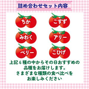 ミニトマト 約3kg 《訳あり》 2種以上 野菜 【ミニトマト】