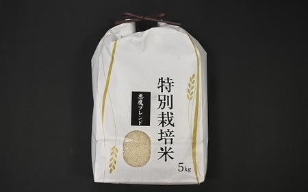 北海道浦河町の特別栽培米「悪魔ブレンド」精米(5kg×1袋)定期便(全3回)[37-1496]