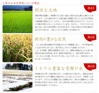 【令和7年産】【3ヶ月定期便】 コシヒカリ 「新潟の泉」 5kg×3回 合計15kg 旧笹神村産 上泉 農家直送 コメドック 金賞 新潟県、米、こめ、コメ、白米、精米 1Q13041