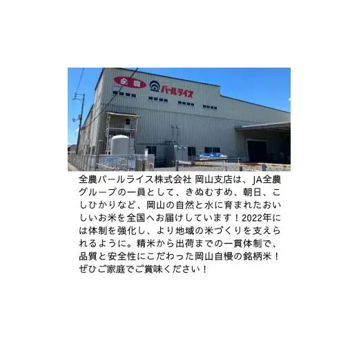 【令和7年産】無洗米 きぬむすめ 8kg 2kg×4袋 岡山県産 【先行予約 2025年11月上旬から順次発送】