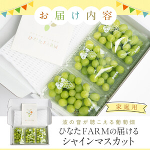 【家庭用】シャインマスカット 1kg ひなたFARM  | シャインマスカット