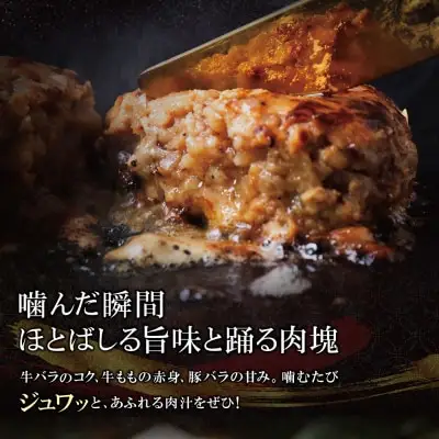 Z61-40 寄附額改定↓↓ 極生ハンバーグ 5個セット(150g×5) ハンバーグ