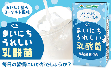 常温保存可能【1ヶ月毎12回定期便】まいにちうれしい 乳酸菌 ヨーグルト風味 250ml×24本 計288本 合同会社たべたせいか《お申し込みの翌月から出荷》熊本県 菊池市 紙パック ヨーグルト飲料 乳酸菌 ドリンク 飲み物 飲料 常温保存 国産 熊本県産