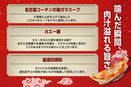にこにこ餃子の名古屋餃子2種セット（120個入）（2344）