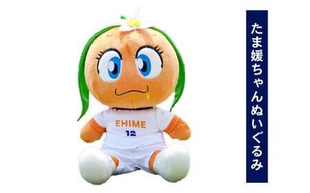 愛媛FC ぬいぐるみ 三柑セット （オ～レくん・たま媛ちゃん・伊予柑太） サッカー マスコットキャラクター （726）