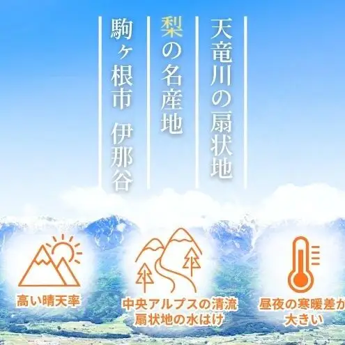 訳あり 梨 南水 4kg (8～12玉)  果物 フルーツ 信州 長野 駒ヶ根市