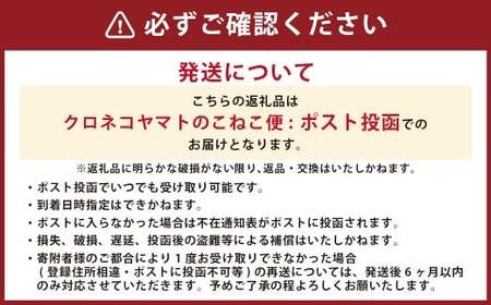 竹田3色そうめん （ スイートコーン ） 3袋セット 計約270g（約90g×3袋）