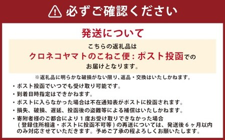 竹田3色そうめん （ トマト ） 3袋セット 計約270g（約90g×3袋）