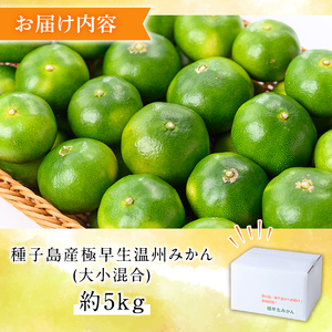 n373 ＜先行予約＞ 極早生 温州みかん 約5kg サイズ大小混合 鹿児島 種子島 蜜柑 ミカン 【提果樹園】