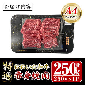 おおいた和牛 A4ランク以上！ 特選 赤身 焼肉 (250g)   国産 牛肉 肉 低温熟成 希少部位 ミスジ サンカク 和牛 ブランド牛 焼肉 冷凍 【opah016】【ネクサ】