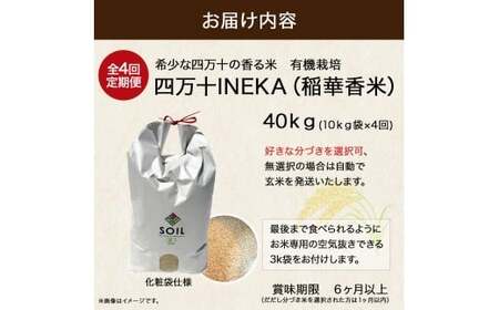【有機玄米】希少な四万十の香る米 10kg 定期便4回（4か月）四万十INEKA（稲華香米）化粧袋仕様 ／Fsg-Z03 小分け 便利 玄米 高知県 四万十町