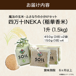 【有機玄米】希少な四万十の香る米 1升（1.5kg）セット 四万十INEKA（稲華香米） ／Fsg-05 小分け 便利 玄米 高知県 四万十町