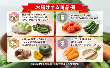 【館長おまかせ！】 南会津町 旬の特産品詰合せ 野菜 セット 加工食品 
