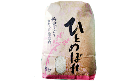 南会津町産米　令和7年産　ひとめぼれ　10kg お米 ライス 白米 精米 ブランド米 ご飯 炭水化物 毎食 朝ごはん ランチ 昼ごはん 夜ごはん 食卓 主食 おにぎり 直送 一等米 
