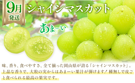 【2か月定期】岡山の 白桃 と シャインマスカット 計4kg【配送不可地域あり】桃 ﾏｽｶｯﾄ