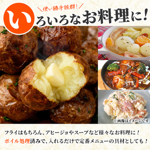冷凍じゃがいも (計7.5kg・250g×30袋) ジャガイモ ニシユタカ にしゆたか 冷凍 ボイル 小分け 小玉 小さめ フライ アヒージョ スープ カレー シチュー 簡単調理 お弁当 おかず 野菜 赤土 【有限会社やまた水産食品】akn036-07
