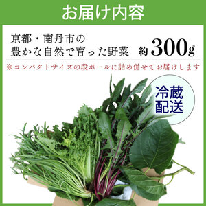 【爬虫類用】 季節の葉っぱ詰め合わせ セット 約 300g コンパクトサイズ ( 草食 雑食 爬虫類 ペットフード ペット リクガメ カメ イグアナ 動物 ごはん ご飯 おやつ 野菜 葉 葉野菜 旬 栄養 安心 新鮮 きよしファーム 南丹市 京都府 京都 )