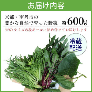 【爬虫類用】 季節の葉っぱ詰め合わせ セット 約 600g 60サイズ ( 草食 雑食 爬虫類 ペットフード ペット リクガメ カメ イグアナ 動物 ごはん ご飯 おやつ 野菜 葉 葉野菜 旬 栄養 安心 新鮮 きよしファーム 南丹市 京都府 京都 )