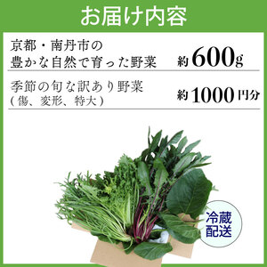 【爬虫類用】 訳あり野菜と季節の葉っぱ詰め合わせ セット 約 600g 60サイズ ( 訳あり 訳あり野菜 草食 雑食 爬虫類 ペットフード ペット リクガメ カメ イグアナ 動物 ごはん ご飯 おやつ 野菜 葉 葉野菜 旬 栄養 安心 新鮮 きよしファーム 南丹市 京都府 京都 )