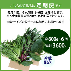 【爬虫類用】【定期便6回】 季節の葉っぱ詰め合わせ セット 約 600g 60サイズ ( 定期便 6カ月 草食 雑食 爬虫類 動物 ペットフード ペット リクガメ カメ イグアナ ごはん ご飯 おやつ 野菜 葉 葉野菜 旬 栄養 安心 新鮮 きよしファーム 南丹市 京都府 京都 )