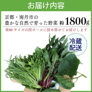 【爬虫類用】 季節の葉っぱ詰め合わせ セット 約 1.8kg 80サイズ ( 草食 雑食 爬虫類 ペットフード ペット リクガメ カメ イグアナ 動物 ごはん ご飯 おやつ 野菜 葉 葉野菜 旬 栄養 安心 新鮮 きよしファーム 南丹市 京都府 京都 )