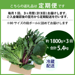 【爬虫類用】【定期便3回】 季節の葉っぱ詰め合わせ セット 約 1.8kg 80サイズ ( 定期便 3カ月 草食 雑食 爬虫類 動物 ペットフード ペット リクガメ カメ イグアナ ごはん ご飯 おやつ 野菜 葉 葉野菜 旬 栄養 安心 新鮮 きよしファーム 南丹市 京都府 京都 )