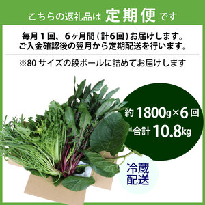 【爬虫類用】【定期便6回】 季節の葉っぱ詰め合わせ セット 約 1.8kg 80サイズ ( 定期便 6カ月 草食 雑食 爬虫類 動物 ペットフード ペット リクガメ カメ イグアナ ごはん ご飯 おやつ 野菜 葉 葉野菜 旬 栄養 安心 新鮮 きよしファーム 南丹市 京都府 京都 )