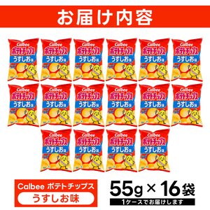 ポテトチップス カルビー うすしお味 55g×16袋 (BG026)