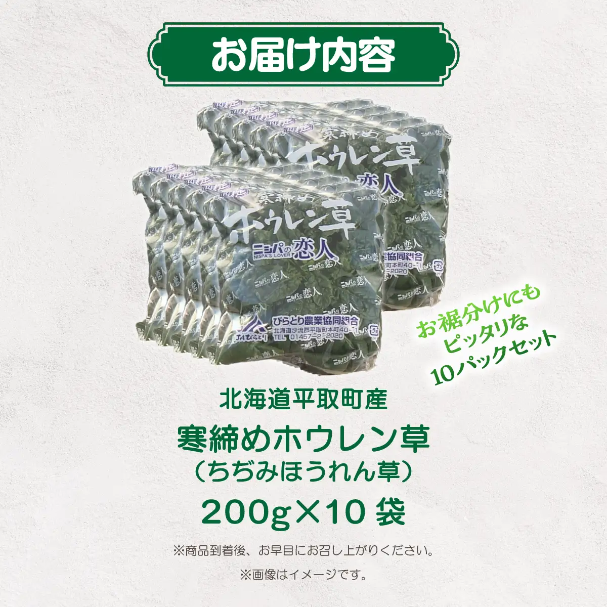 【先行予約/2026年12月上旬以降発送】【北海道平取町産】寒締めホウレン草（ちぢみほうれん草）200g×10袋 BRTO003