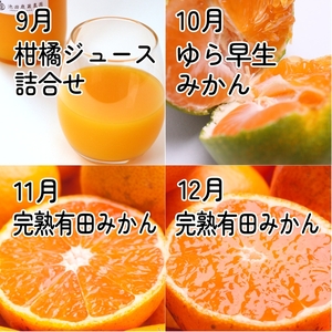 【定期便】厳選 柑橘定期便 S 12回（毎月）※北海道・沖縄・離島への配送不可※毎月発送