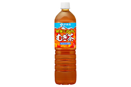 《定期便2ヶ月》健康ミネラルむぎ茶 伊藤園 ＜1L×12本＞【1ケース】