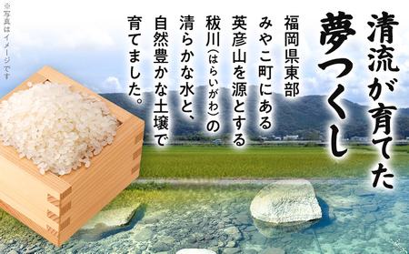 米 定期便 3回 酒井さんちのお米 夢つくし（白米） 5kg 定期便 米 白米 精米 国産 農家直送 国産米 国産 おにぎり お弁当 朝ごはん 軽食 間食 おやつ 福岡県 福岡 九州 グルメ お取り寄せ