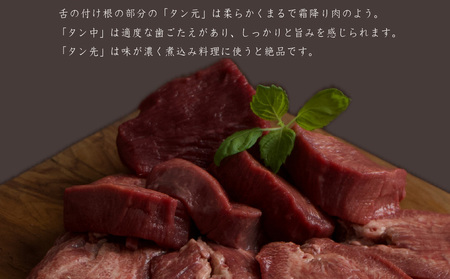 厚切り 牛タン デミグラスソース THE TONGUE 3箱入【長崎 豊味館】 ディナー "スプーンでほぐせる"やわらかさが人気の理由 長崎 佐世保 九州 レトルト 牛たん E466