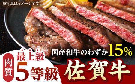 【全6回定期便】 佐賀牛 赤身 ステーキ（モモ）400g（200g×2枚） 【山下牛舎】[HAD168]