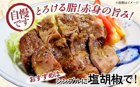 【全6回定期便】冷凍 「瀬戸のもち豚せと姫」ステーキセット約900g (150g×6枚) [BAER045]ステーキ